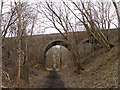 NT5734 : Ravenswood Railway Bridge by Iain Lees