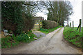 Track to Ludwell House and Farm