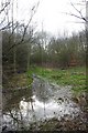 Footpath to Moor Lane