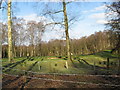 Golfers golfing beside Petty Pool Woods