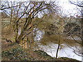 River Irwell, Agecroft Bridge