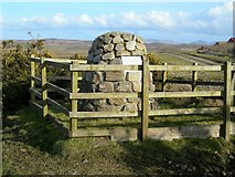 NR2767 : Lachlan Mor Maclean of Duart Fell Here by Mary and Angus Hogg