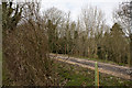 Track in The Hangers woodland