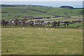 Fields east of Cefn Llwyd