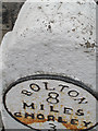 Bolton Milestone 8 with pivot