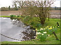 Pond at Wyphurst Home Farm