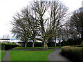 Croydon:  Trees in Wandle Park