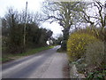 View down Enmill Lane close to Enmill Farm