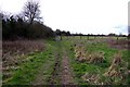 The Thames Path in Cricklade