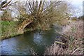 The River Thames in Cricklade