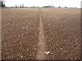 SO9004 : Footpath across Cotswolds ploughsoil by Jeremy Bolwell