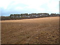 Field of stubble on the road to Zelah