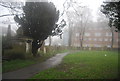 An abandoned Cemetery, Priory Rd