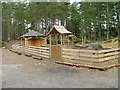 Picnic area in School Wood