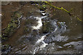 Small waterfall on the River Vyrnwy in the Vyrnwy Gorge above Dolanog