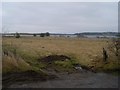 Balgray Reservoir from Balgraystone Road