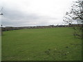 Field adjacent to Old Windsor Lock Cut