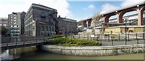 NZ2664 : Ouseburn panorama by Andrew Curtis