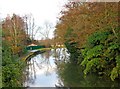 Wey Navigation looking northeast from Cart Bridge