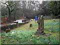 Churchyard at St Mary, Fittleworth (2)