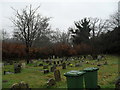 Churchyard at St Mary, Fittleworth (5)