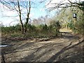 Sign post to Great Barrow, Ferndown Common