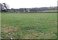 View across farmland towards houses on the B4354 Chwilog-Y Ffor road