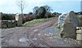 Erratics used as gate posts at Gwernallt Farm