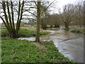 River Gipping towards Needham Market