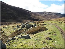 NO4578 : Cleared boulders, Glen Effock by Richard Webb