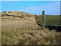 Standing Stone Near Ballinaby