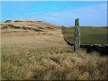 NR2167 : Standing Stone Near Ballinaby by Mary and Angus Hogg