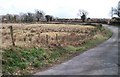 Sweeping bend on the Ynysleci road