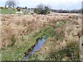 Boggy ground between Cae-du and Ynysleci