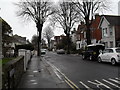 Winter trees in Oxford Road