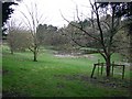 Flooded meadow opposite footpath to Combrook