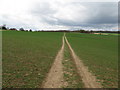 Field path to Plummerden Road