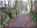 Path to Thorpe Abbotts Road