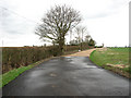 Driveway to Bethel Farm from Back Road