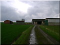 Barns  by  the  Track