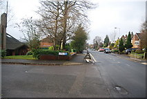 TQ5940 : Junction of The Beeches and Sandhurst Rd by N Chadwick