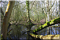 Flooded pits by Stonecross Lane