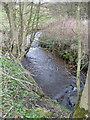 Stream below Pritchard Green Farm