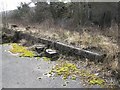 SO2658 : Remains of the platform by Bill Nicholls