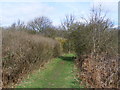 TQ1174 : Path on nature trail Hounslow Heath by PAUL FARMER