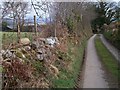 Country lane above Cadair Elwa Farm