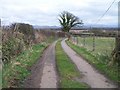 Country lane below Cadair Elwa farmhouse