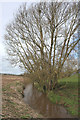 Stream near Poole Bank