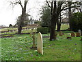 Churchyard at St Mary, Storrington (5)