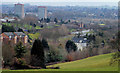 The view from the Minnowburn path, Belfast